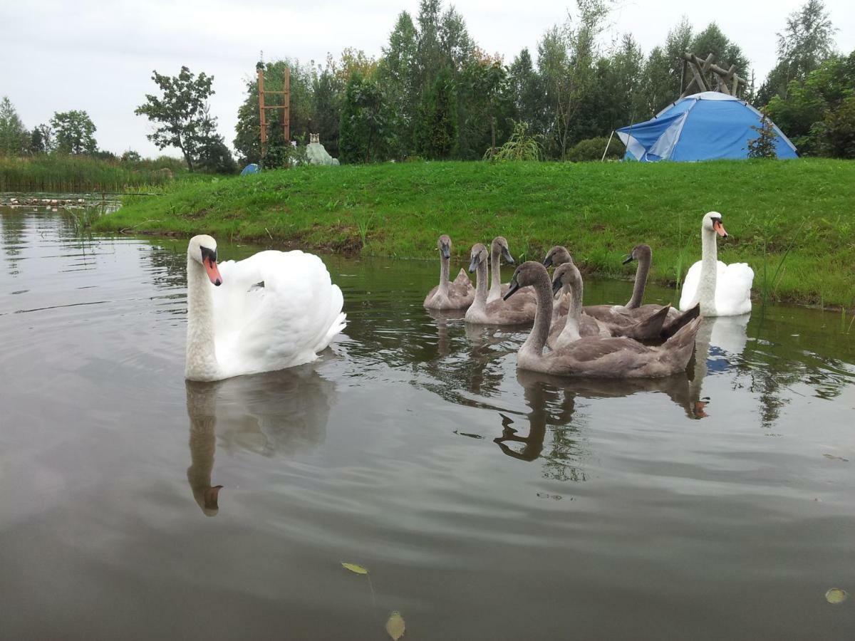 Pie Veca Kaleja Hotel Daugavpils Kültér fotó